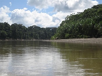 Manu - Lake
