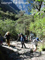 Inca Trail to Machu Picchu