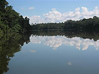 Tambopata